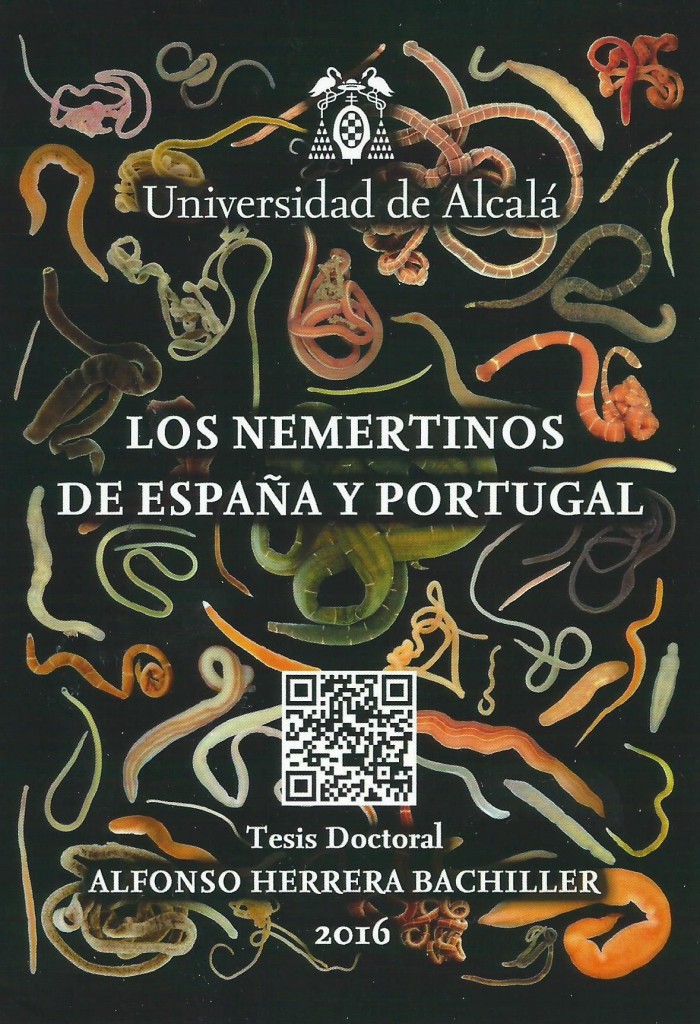 portada Tesis alfon